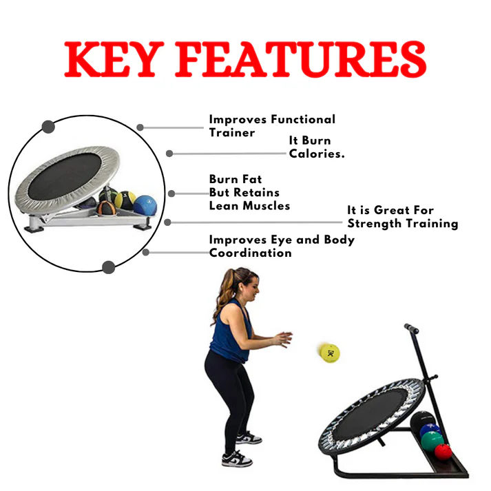 Imported Medicine Ball Reactor - Image 2